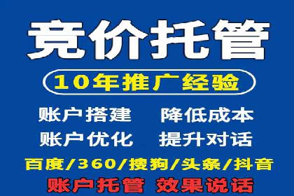 成功案例：专业SEM托管服务助力企业抢占行业制高点